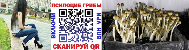 kraken вход  мориарти какой сайт  Псилоцибиновые грибы Magic Shrooms  Усмань 