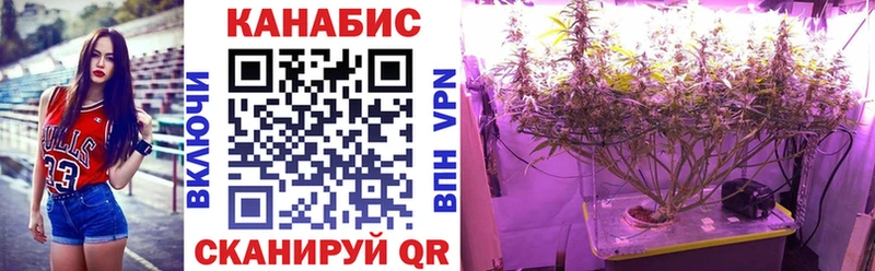 где купить наркоту  Усмань  Бошки марихуана SATIVA & INDICA 